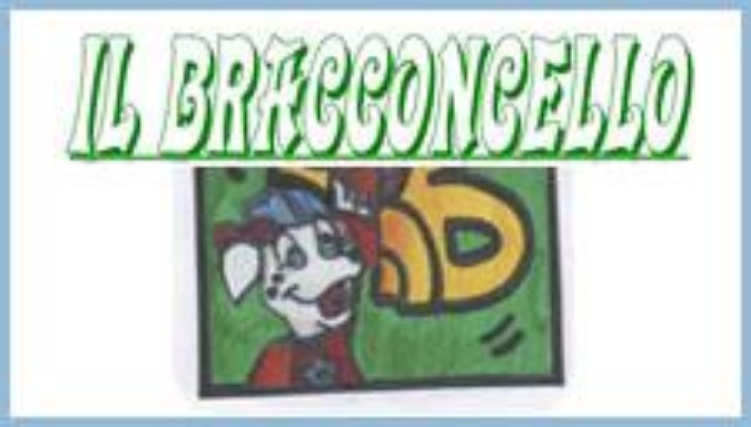 Il Bracconcello: edizione Giugno 2019